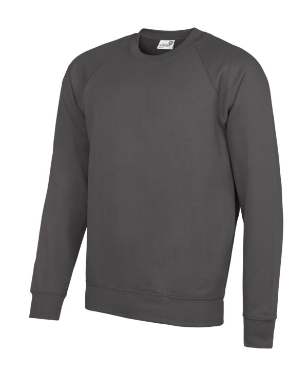 Senior Academy raglan sweatshirt-Grey