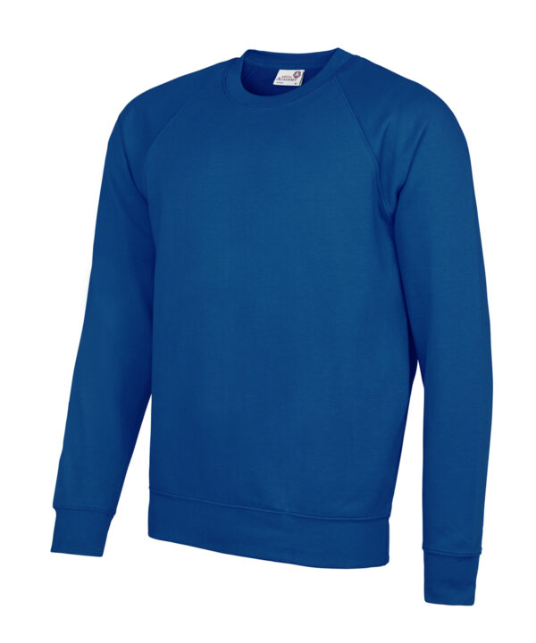 Senior Academy raglan sweatshirt-Blue