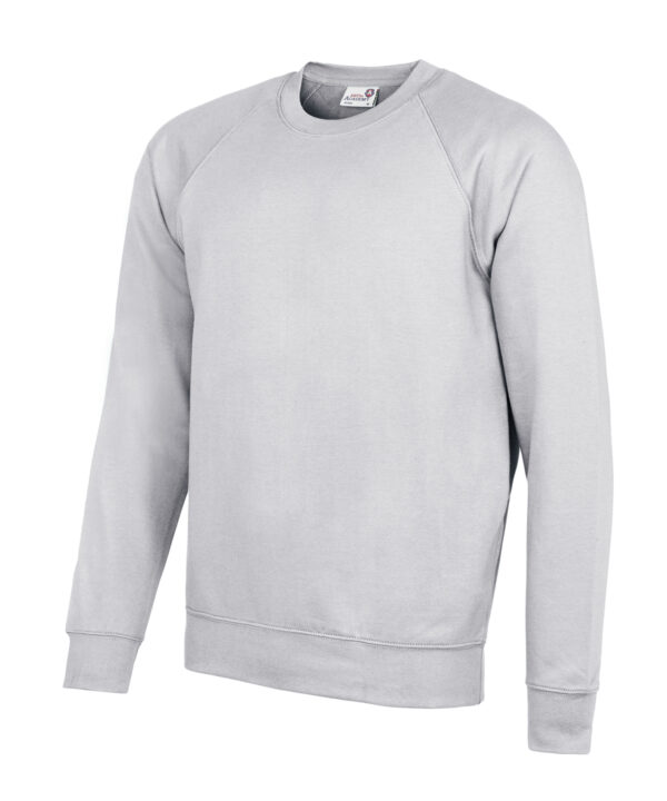 Senior Academy raglan sweatshirt-Grey 2