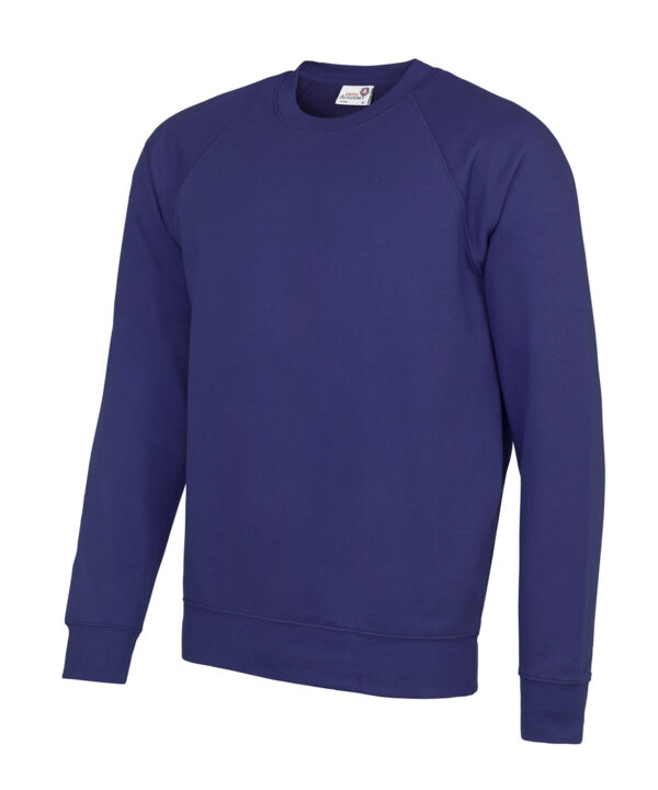 Senior Academy raglan sweatshirt-Purple